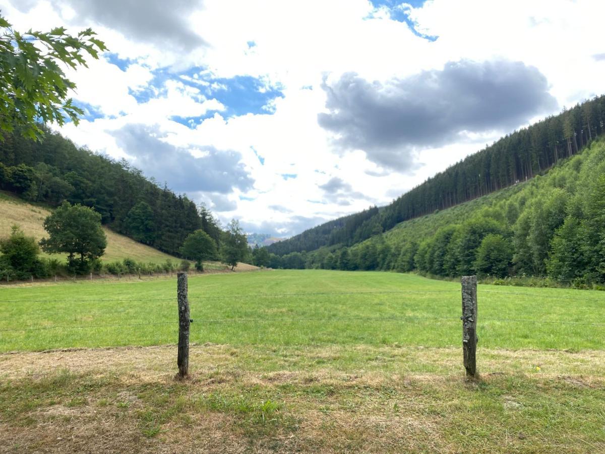 DAS Schmallenberger Ferienhaus - komfortabel - urig - traumhafte Lage Exterior foto